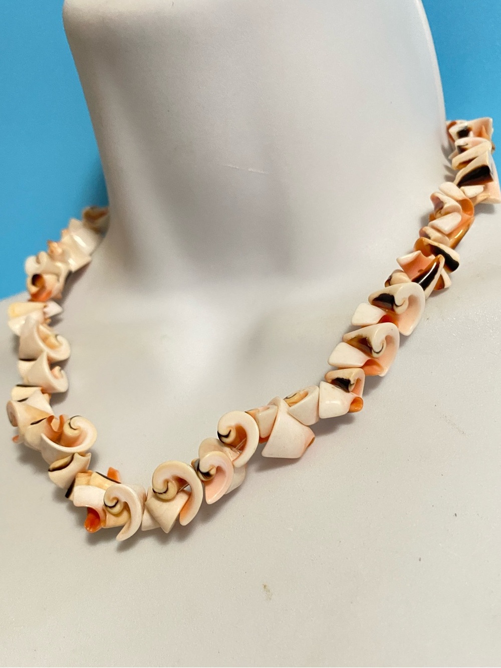 Vtg 70’s Hawaiian Cone Shell Necklace Curly Luhuanos Natural Curly Surfer Beachy